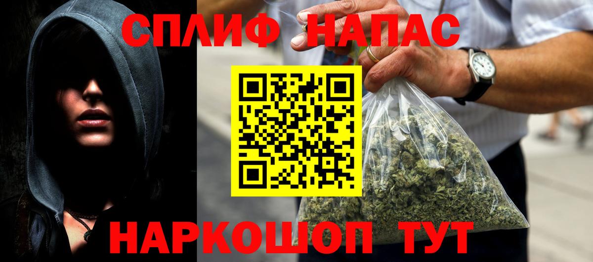 Конопля гибрид Александров