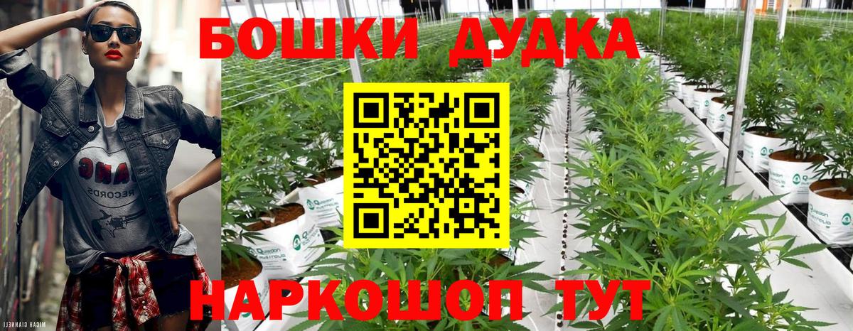 Марихуана семена  МАРИХУАНА семена  Александров  МАРИХУАНА White Widow  Вход с VPN 